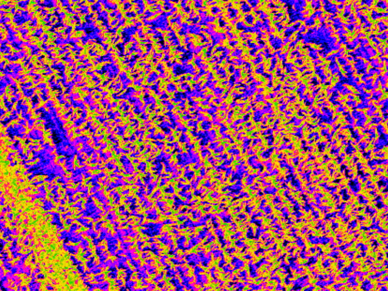 APR - Droni per agricoltura di precisione, fotogrammetria, NDVI.