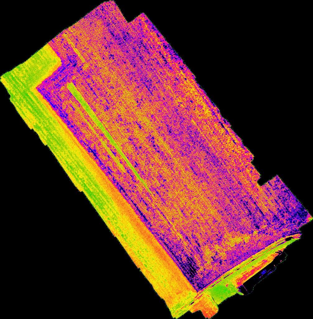 NDVI agricoltura di precisione mais